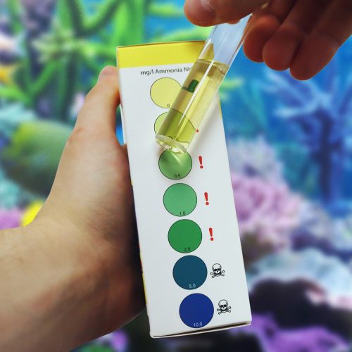 Ammonia Test Kit (NT Labs)